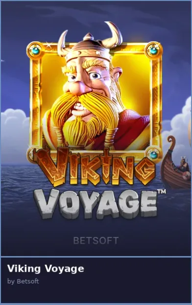 Viking Voyage