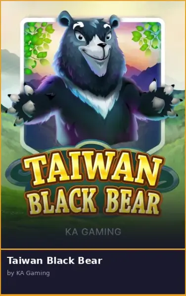 Taiwan Black Bear